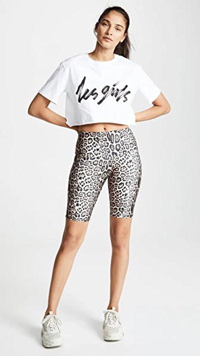 Shop Onzie High Rise Bike Shorts In Leopard