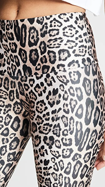 Shop Onzie High Rise Bike Shorts In Leopard