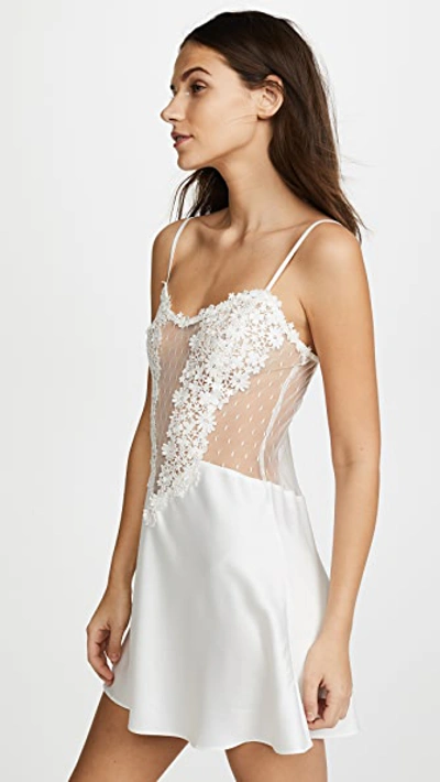 Flora Nikrooz Showstopper Chemise With Lace In Ivory