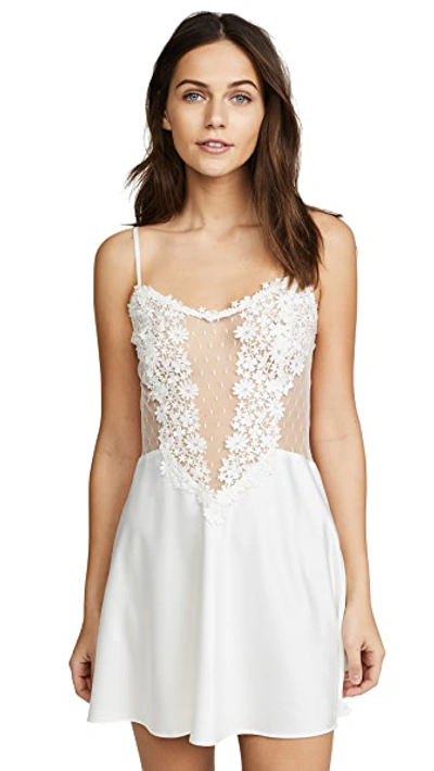 Shop Flora Nikrooz Showstopper Chemise With Lace Ivory