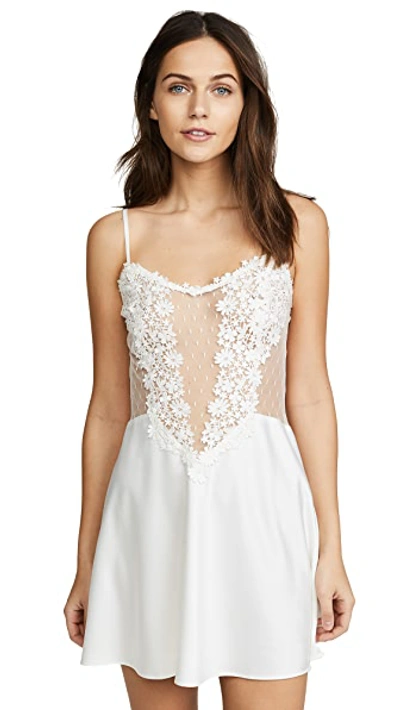 Flora Nikrooz Showstopper Chemise With Lace In Ivory