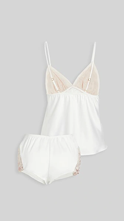 Flora Nikrooz Rosa Cami & Shorts Set Ivory In Ivory