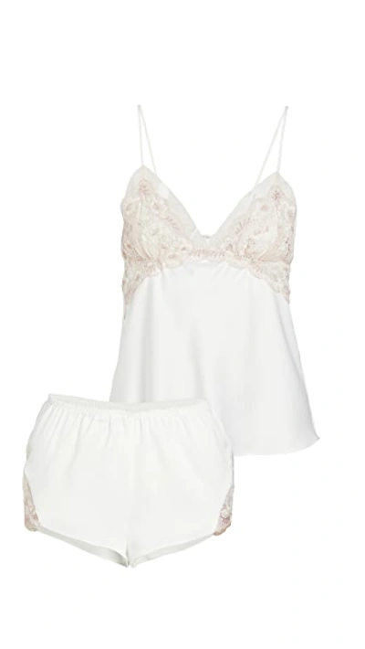 Flora Nikrooz Rosa Cami & Shorts Set Ivory In Ivory