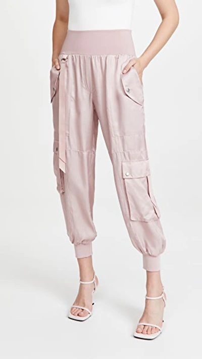 Shop Cinq À Sept Harmony Pants In Rose Clay