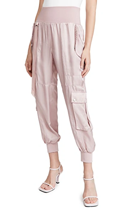 Shop Cinq À Sept Harmony Pants In Rose Clay