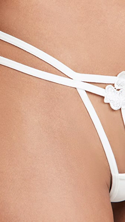 Bluebella Nova Mid-rise Stretch-lace Thong In Ivory