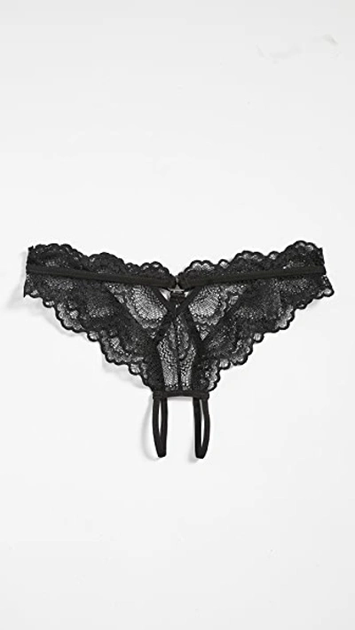 Shop Thistle & Spire Kane Overt Bikini Panties Black