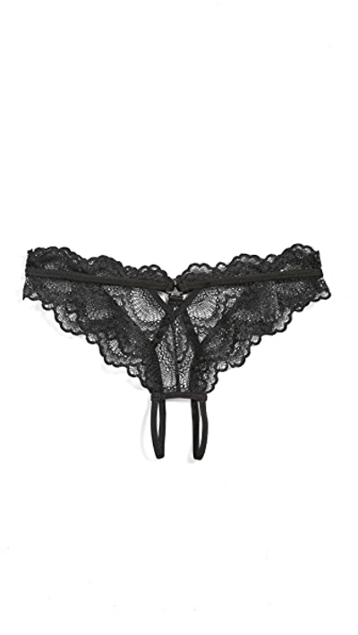 Shop Thistle & Spire Kane Overt Bikini Panties Black