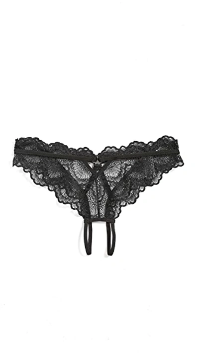 Thistle & Spire Kane Overt Bikini Panties In Black
