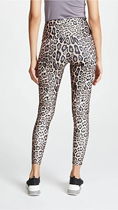 Shop Onzie High Rise Leggings In Leopard