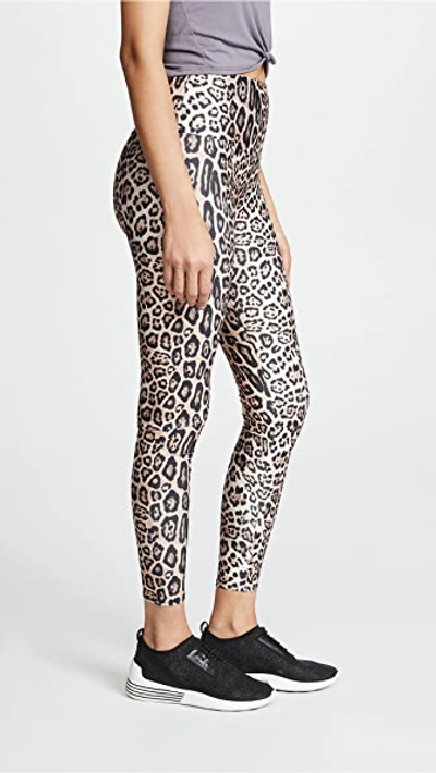 Shop Onzie High Rise Leggings In Leopard