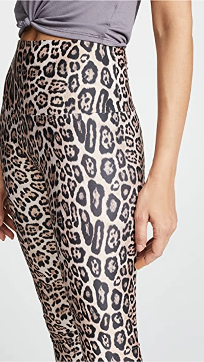 Shop Onzie High Rise Leggings In Leopard