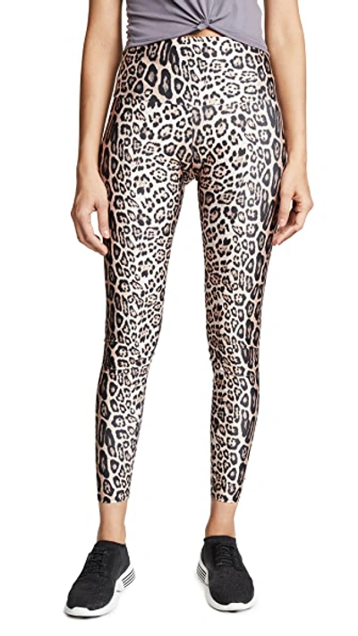 Shop Onzie High Rise Leggings In Leopard