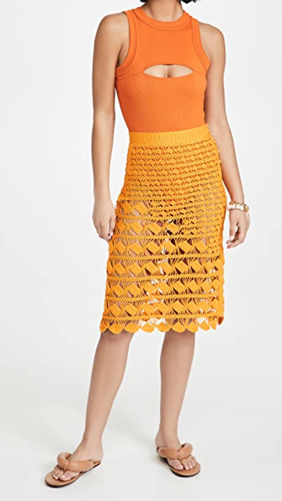 Shop Acne Studios Crochet Skirt In Orange