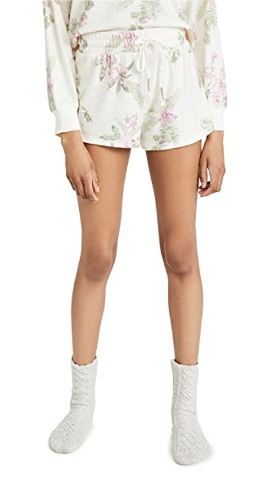 Shop Z Supply Mia Floral Knit Shorts In Bone