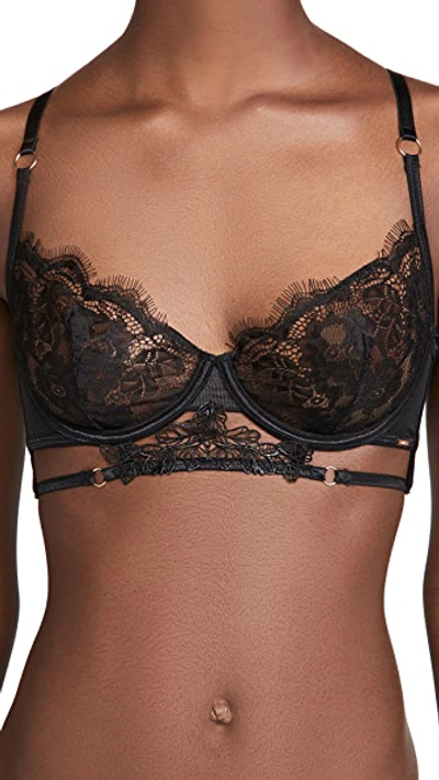 Shop Bluebella Lumi Bra Black