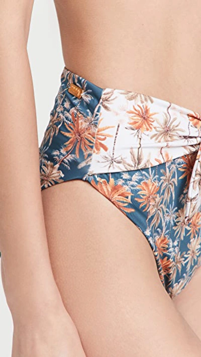 Shop Palmacea Oasis Bikini Bottoms