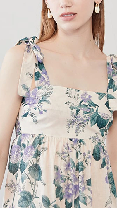 Shop Zimmermann Cassia Tie Shoulder Dress In Hydrangea Floral