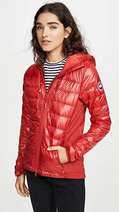 Canada Goose Hybridge Lite Hooded Packable Down Jacket In Red | ModeSens