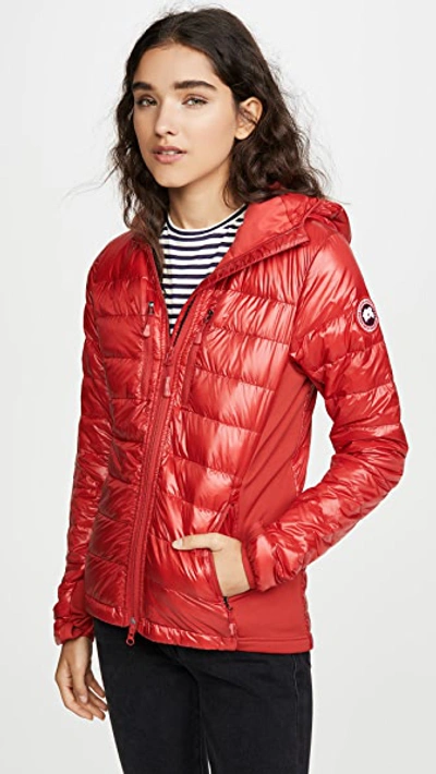 Canada Goose Hybridge Lite Hooded Packable Down Jacket In Red