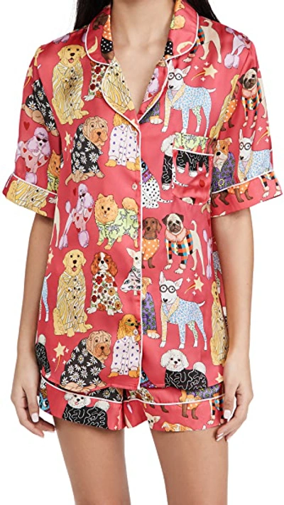 Shop Karen Mabon Fashion Dogs Pink Short Pajama Set Pink