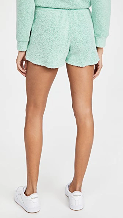 Shop Stateside Sherpa Shorts In Green Machine