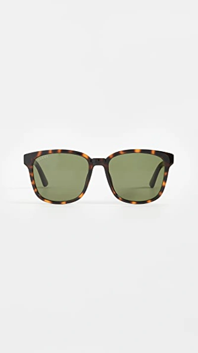 Shop Gucci Logo Classic Sunglasses In Shiny Dark Havana