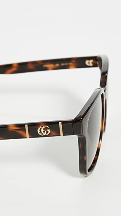 Shop Gucci Logo Classic Sunglasses In Shiny Dark Havana