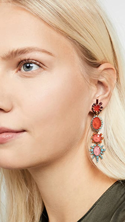 Shop Elizabeth Cole Blair Earrings In Multi