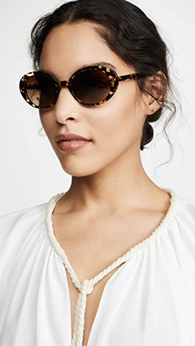 Shop Krewe Laurel Sunglasses In Zulu Print