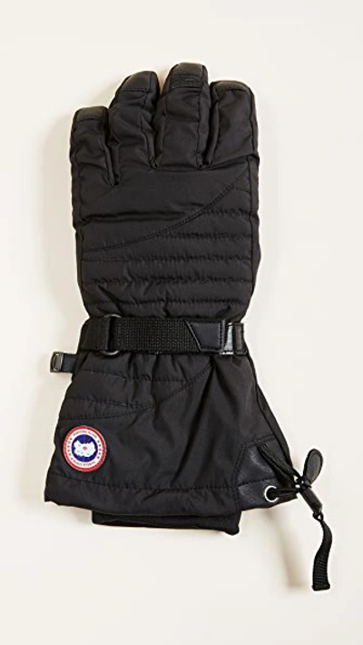 Shop Canada Goose Arctic Down Gloves In Black