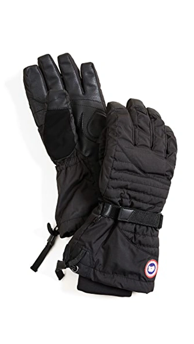 Shop Canada Goose Arctic Down Gloves In Black