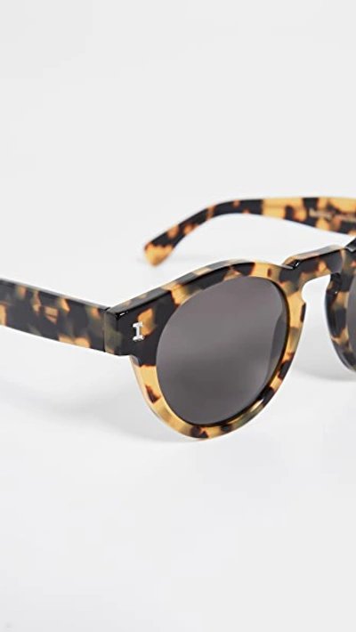 Shop Illesteva Leonard Sunglasses In Tortoise/grey