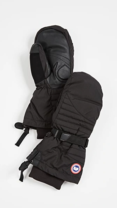 Shop Canada Goose Arctic Down Mittens In Black