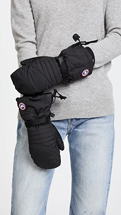 Shop Canada Goose Arctic Down Mittens In Black