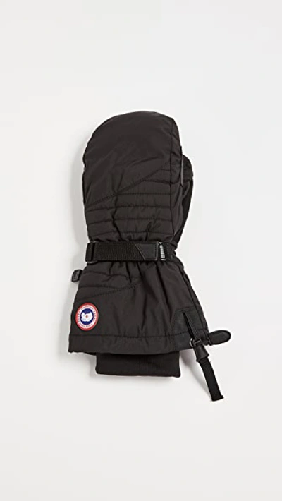 Shop Canada Goose Arctic Down Mittens In Black