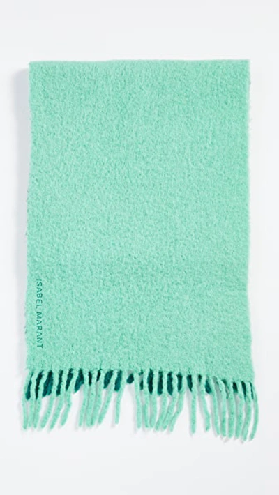 Shop Isabel Marant Firna Alpaca Scarf