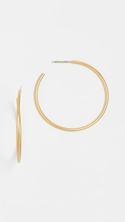 Shop Madewell Basic Medium Hoop