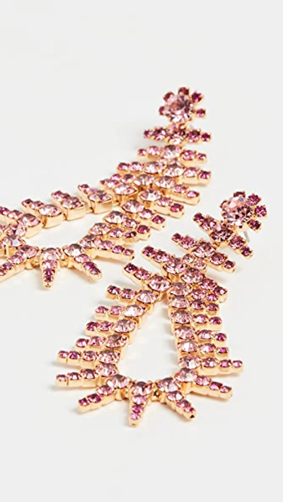 Shop Elizabeth Cole Beatrix Earrings In Bright Rose