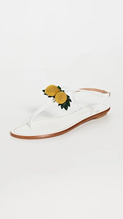 Shop Aquazzura Limoncello Flat Sandals In White