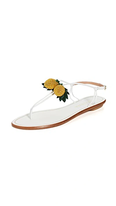 Shop Aquazzura Limoncello Flat Sandals In White