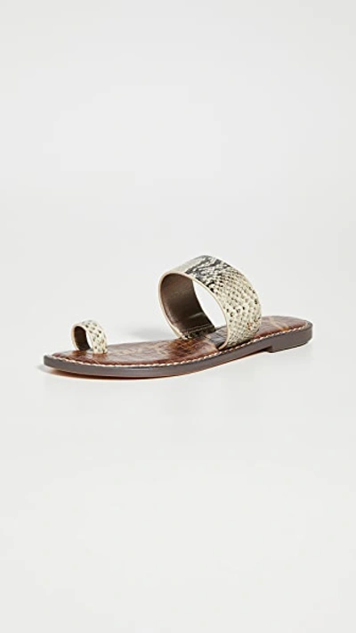 Shop Sam Edelman Gorgene Slides In Beach Multi