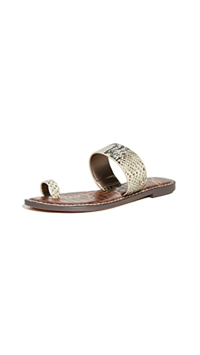 Shop Sam Edelman Gorgene Slides In Beach Multi