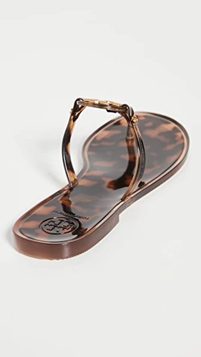 Tory Burch Mini Miller Flat Thong Sandals In Tortoise | ModeSens