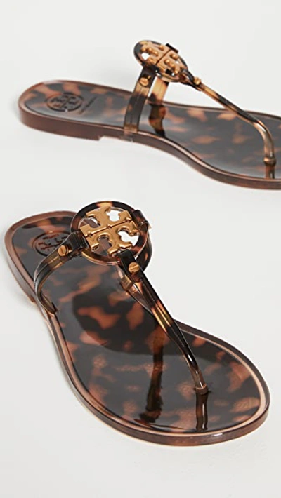 Tory Burch Mini Miller Flat Thong Sandals In Tortoise | ModeSens