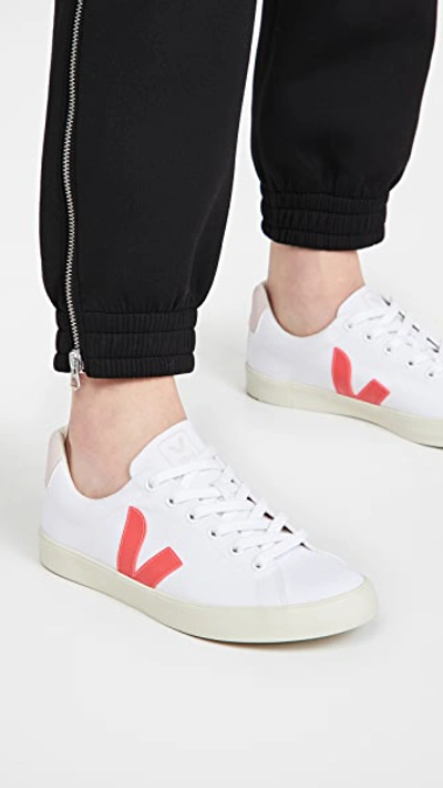 Shop Veja Esplar Se Sneakers In White/rose Fluo/petale