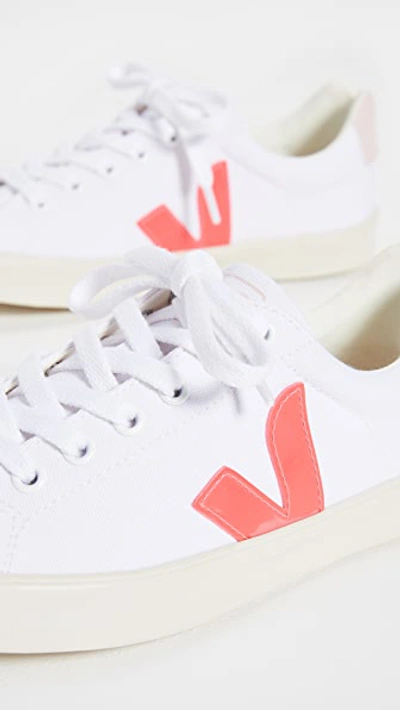 Shop Veja Esplar Se Sneakers In White/rose Fluo/petale