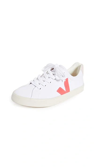 Shop Veja Esplar Se Sneakers In White/rose Fluo/petale