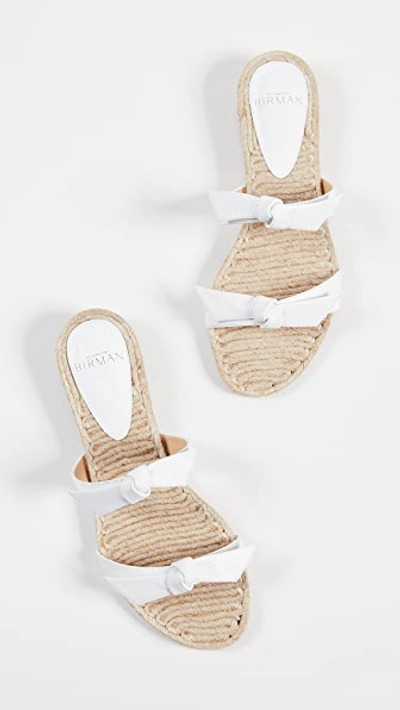 Shop Alexandre Birman Clarita Braided Flat Sandals In White/natural