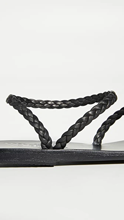 Ancient Greek Sandals Eleftheria Braided Leather Sandals In Black